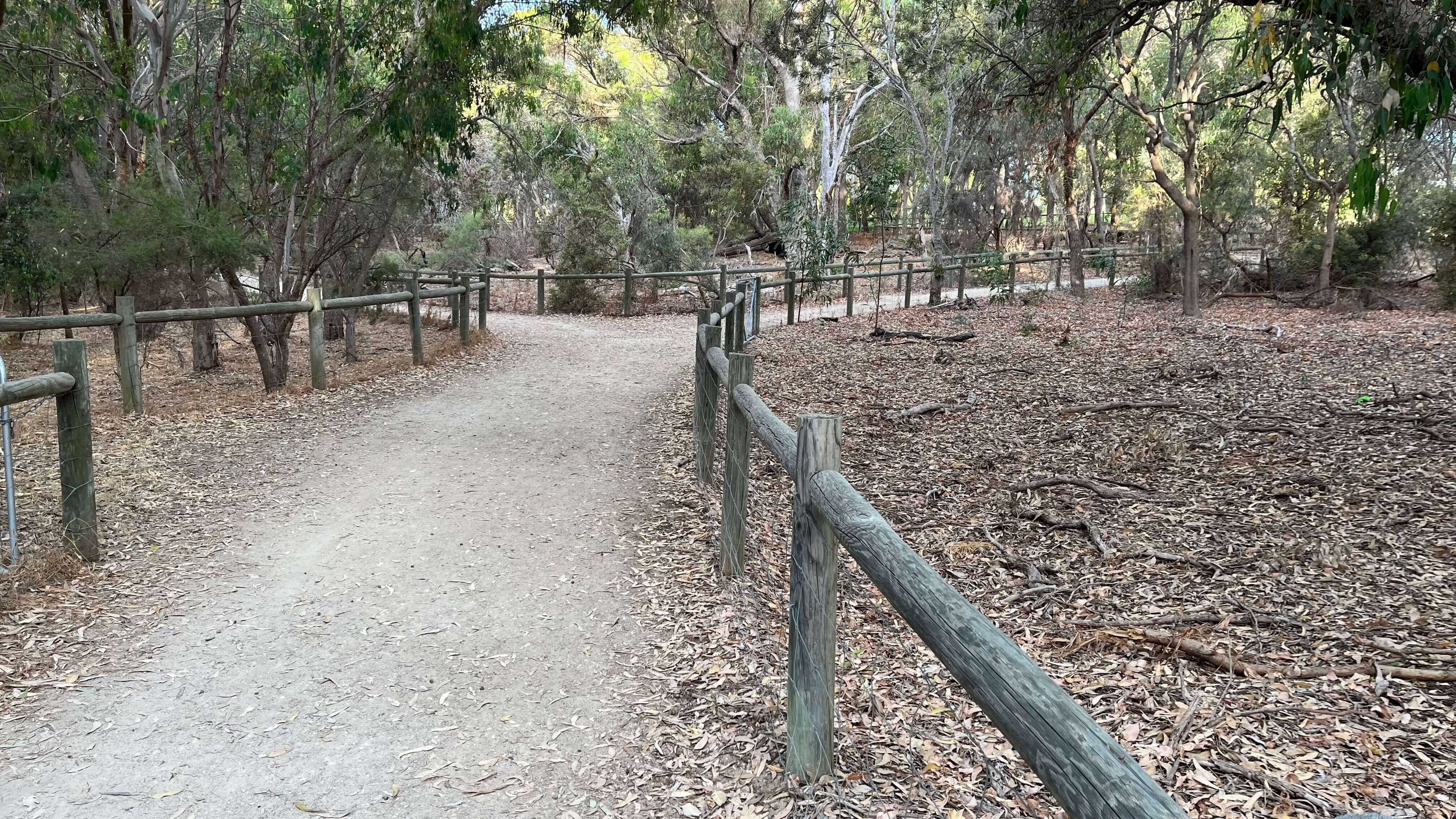 Southern Unsealed Path