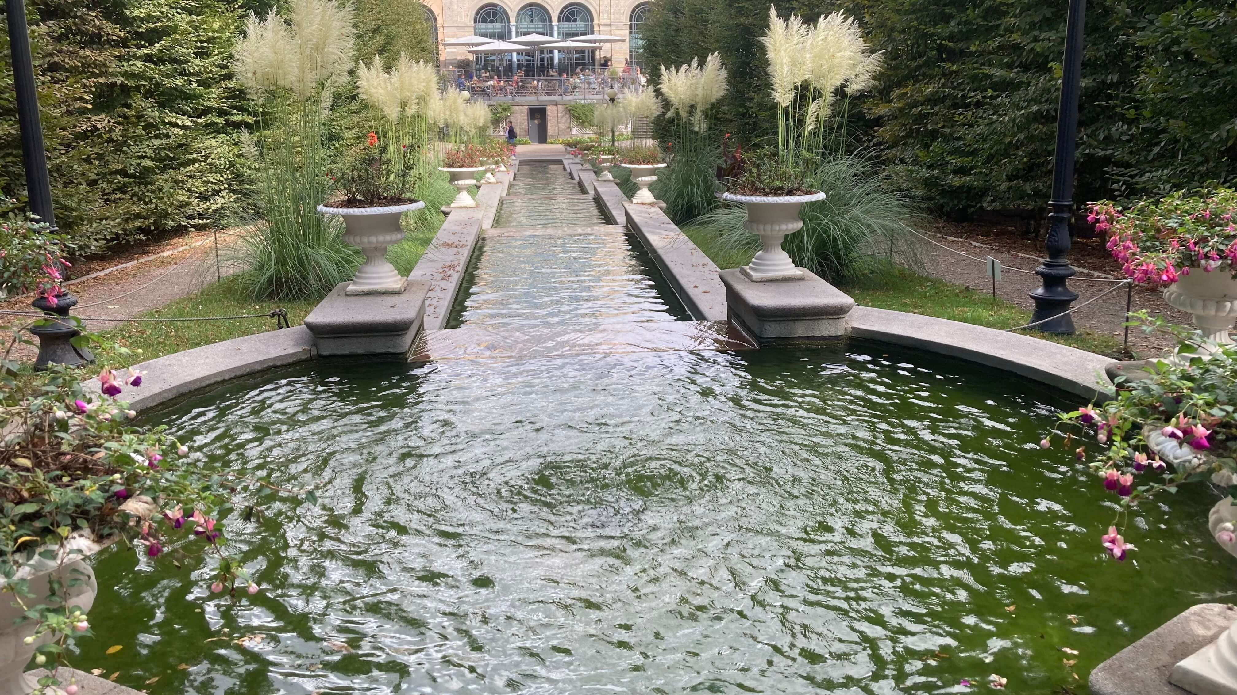 A Pond