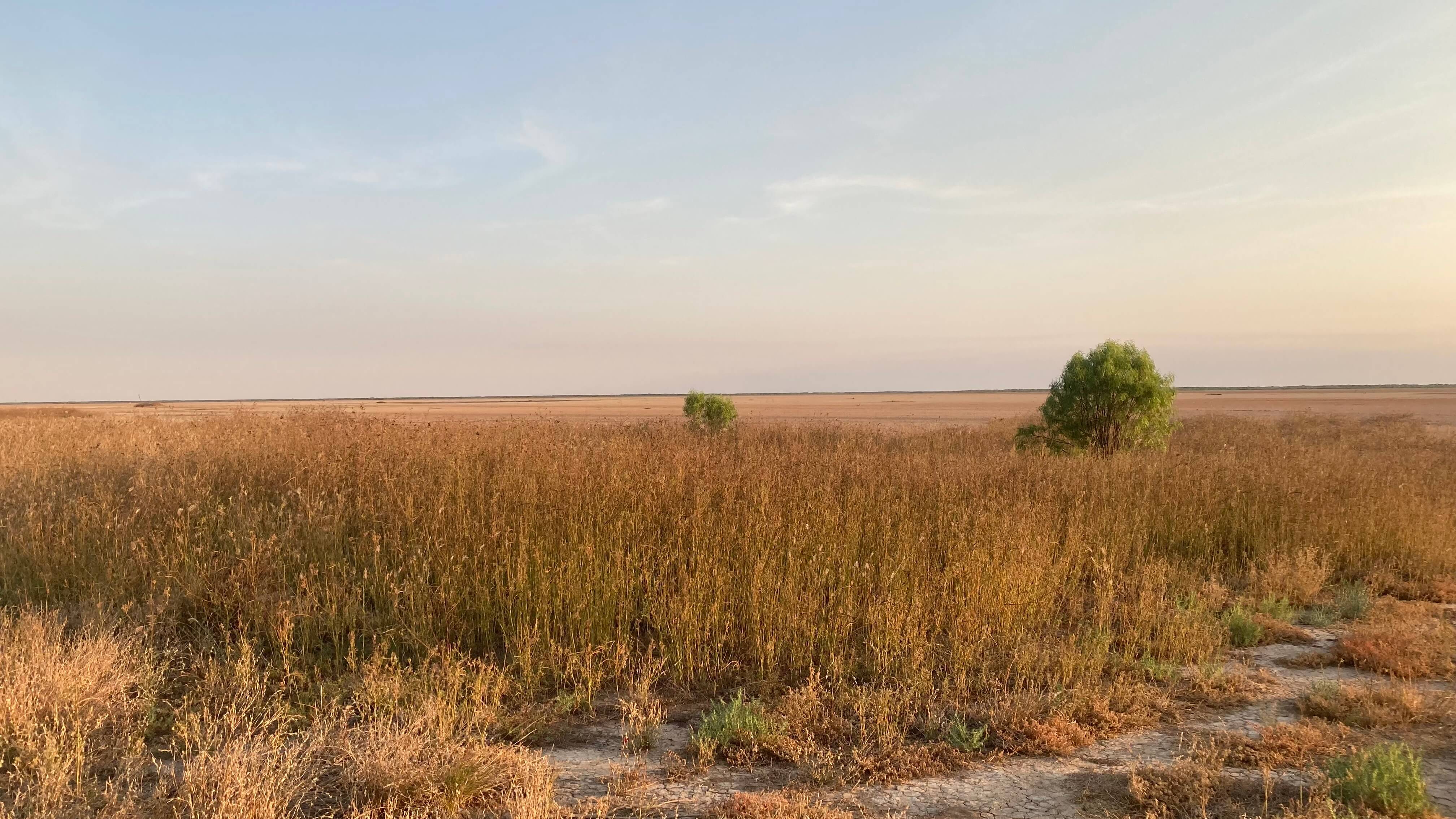 The Floodplain