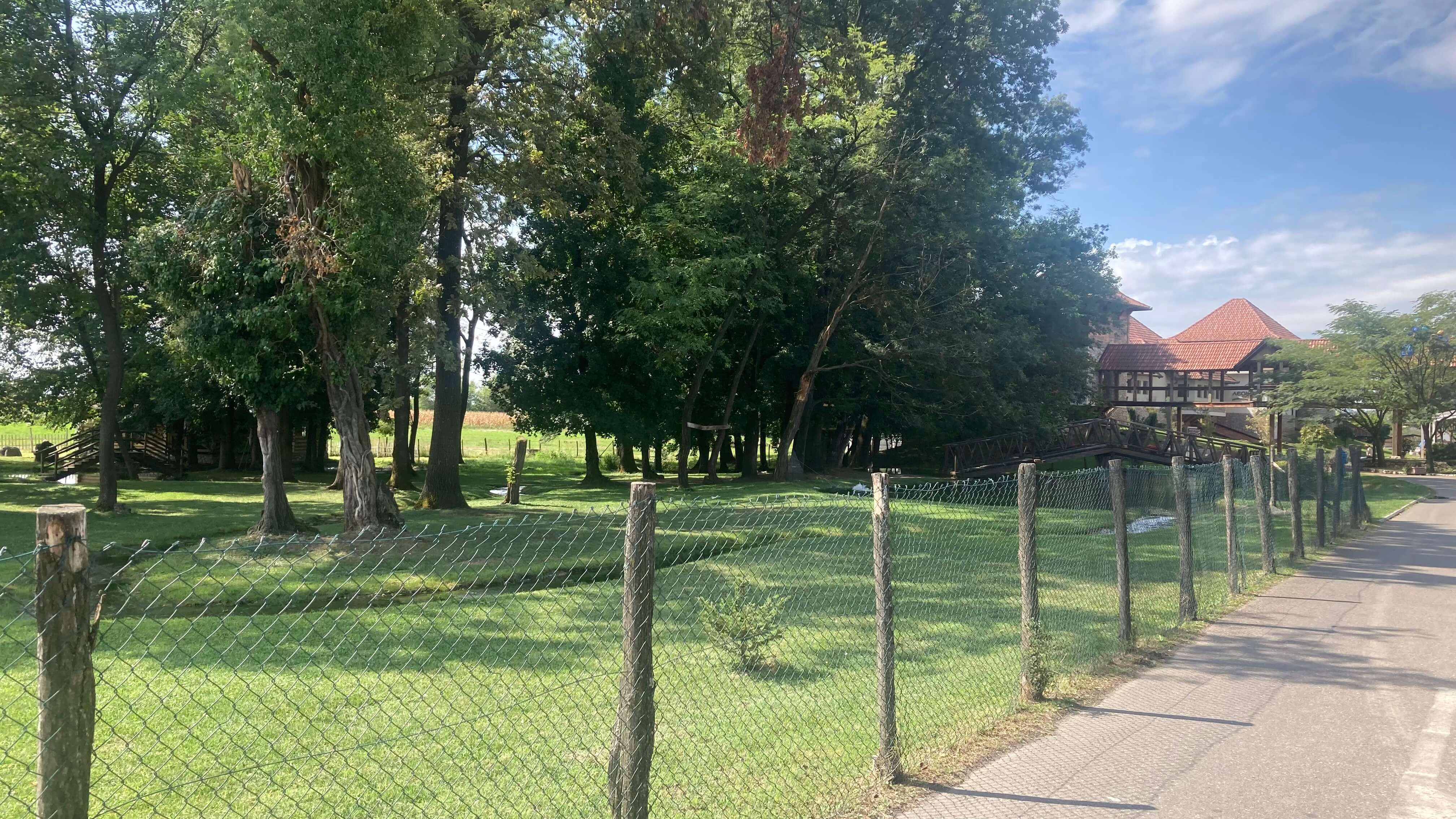 A Garden